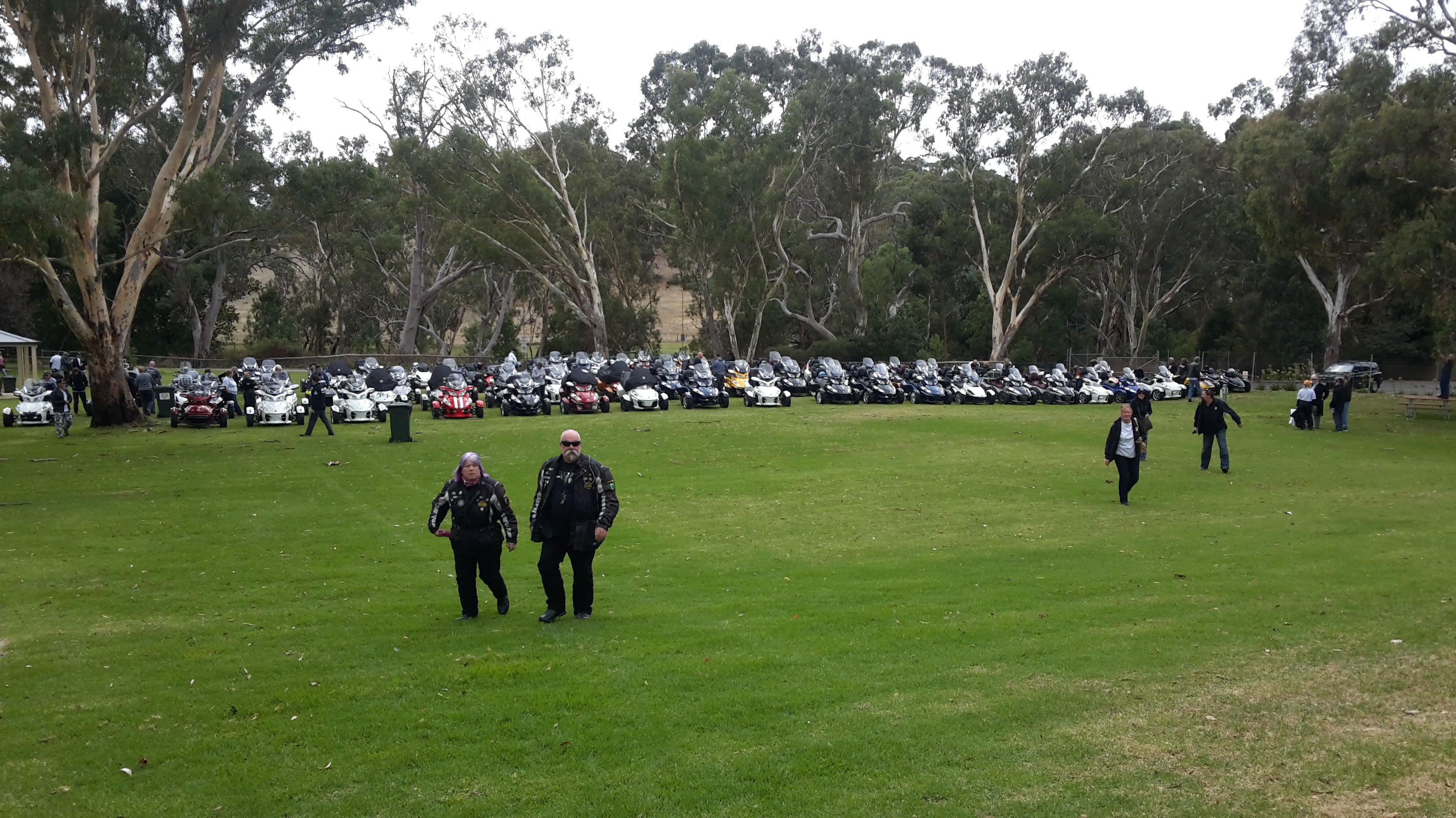 Item 'Spyder Muster'