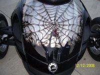 spyderweb.jpg