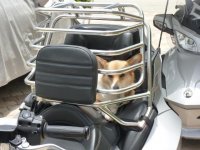 Shaba's Spyder House.jpg