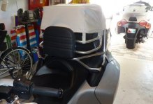 Shaba's Spyder Ryder (8).jpg