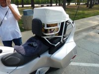 Rest Stop In NC (2).jpg