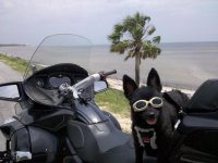 2010-07-14 13.34.49.jpg