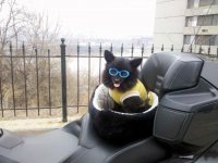 2-24-11 Vids 035.jpg