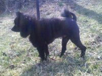 2-27-11 TeddysNewCut 011.jpg