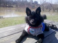 3-1-11-SpyderWash 013.jpg