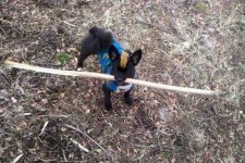 3-6-11 TeddyBlondSpyderHawk 042.jpg