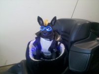 3-6-11-SpyderHawkLeather 002.jpg