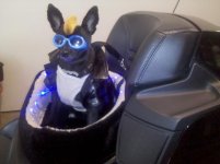 3-6-11-SpyderHawkLeather 004.jpg