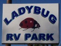 LadyBug.jpg