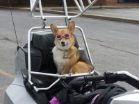 Shaba's Ryder Cage at Panera's (2).jpg