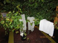 CUBA MISSOURI 059 (800x600).jpg