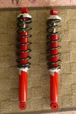 Custom RS Shocks.jpg