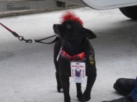 DSC03462 (Medium).jpg