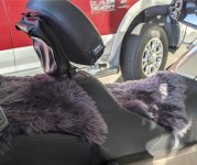 Cropped sheep skins.jpg