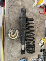 OEM Shock 1.jpg