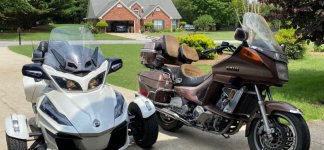 Spike and Scout 2021-06-10.jpg