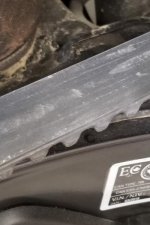 Tina Spyder Belt 1 (2).jpg