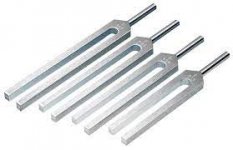 tuning forks.jpg