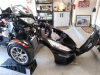 2015 RTS trunk removal.jpg