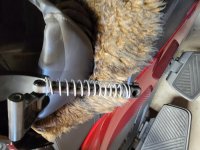 2020 rear lid spring.jpg