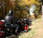 IMG_0551 (800x533).jpg