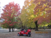 by garden (640x480).jpg