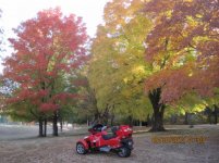 by garden (800x600).jpg