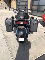 7 Bags Back View.jpg