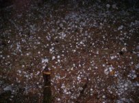 hail-008.jpg