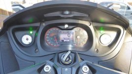 Dash Sunlight and Shade.jpg