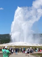 Old Faithful.jpg