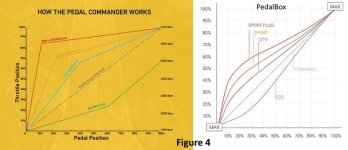 Figure 4 Response charts.jpg