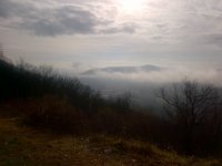 Avery Creek-20121209-00146.jpg