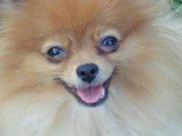 October 2012 055.jpg