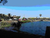 Meet and Greet at TIKI'S.jpg