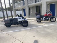 IMG_2954.jpeg
