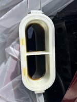 IMG_2410.jpeg