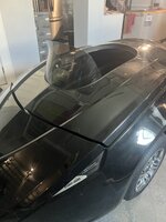 IMG_7263.jpeg