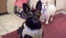 2011-10-11 17.13.43.jpg