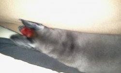 2013-03-23 17.32.19.jpg