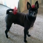 2013-03-23 18.14.03-1.jpg