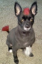 2013-03-23 18.14.50-1.jpg