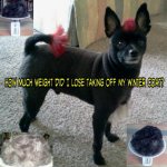 Winter Coat 3-2013.jpg