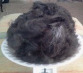 2013-03-24 13.44.37-1.jpg