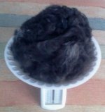 2013-03-24 13.43.22-1.jpg