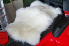 sheep skin.jpg