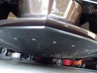 Bumpskid after 1 month.jpg