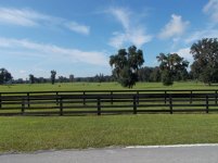 DSCN2706 (800x600).jpg