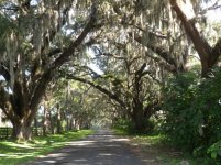 SAM_0010 - Copy (800x599).jpg