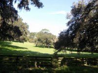 SAM_0012 (800x600).jpg